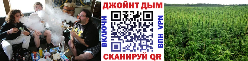 Галлюциногенные грибы Добрянка