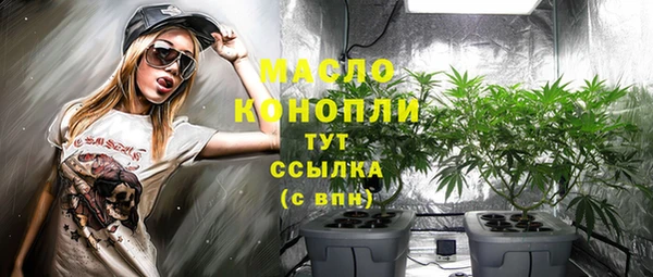 дмт Алексин