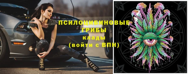 mix Абаза