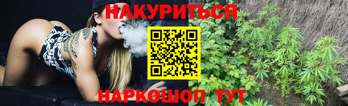 Шишки марихуана гибрид Добрянка